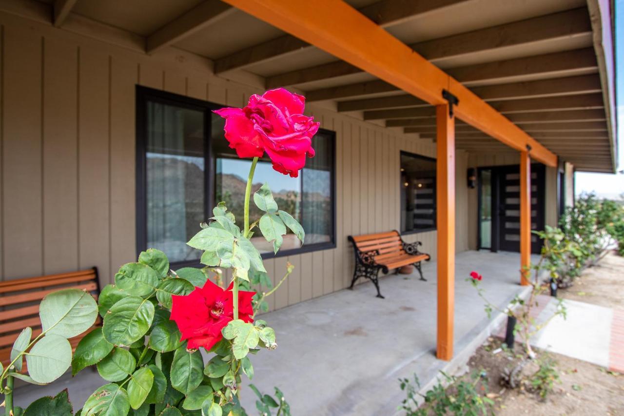 @ Marbella Lane - The Wine Mine Desert Escape Joshua Tree Exterior photo