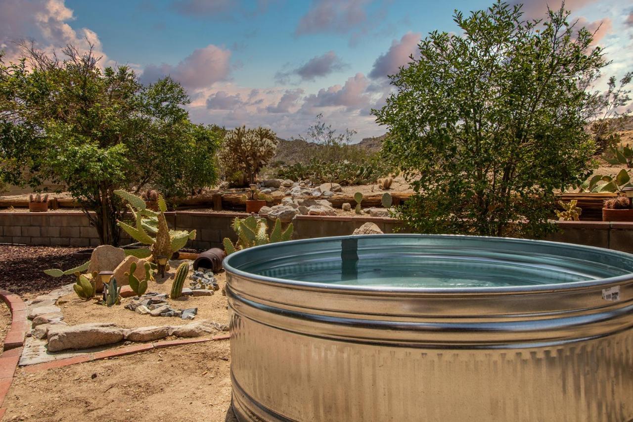 @ Marbella Lane - The Wine Mine Desert Escape Joshua Tree Exterior photo