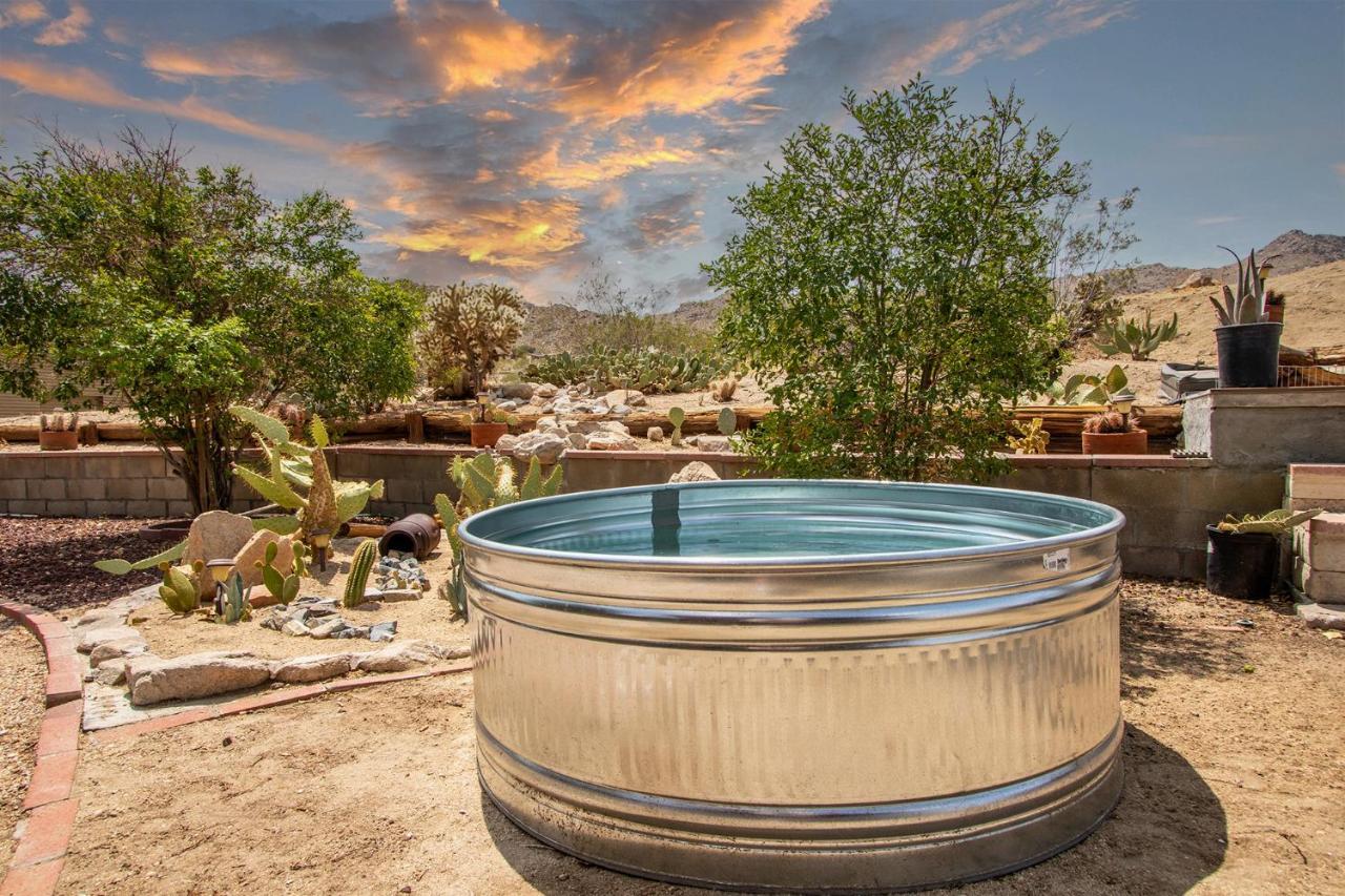 @ Marbella Lane - The Wine Mine Desert Escape Joshua Tree Exterior photo